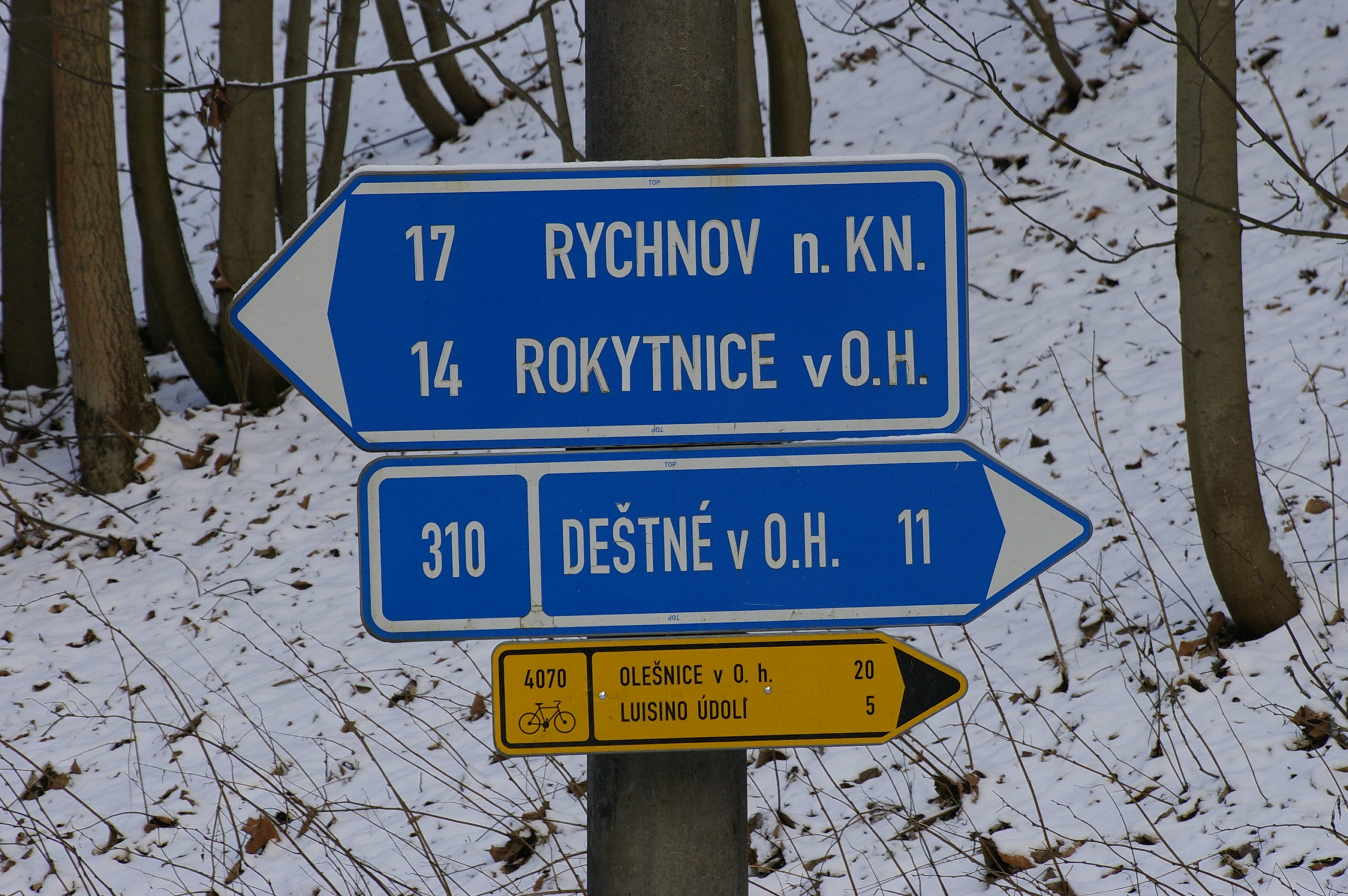 Особенности обучения на курсах код 95 в Польше
